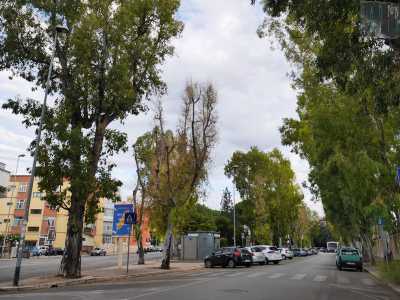 Sulla parte di viale Orazio Flacco che costeggia l�istituto oncologico �Giovanni Paolo II� si presenta lo scenario pi� drammatico